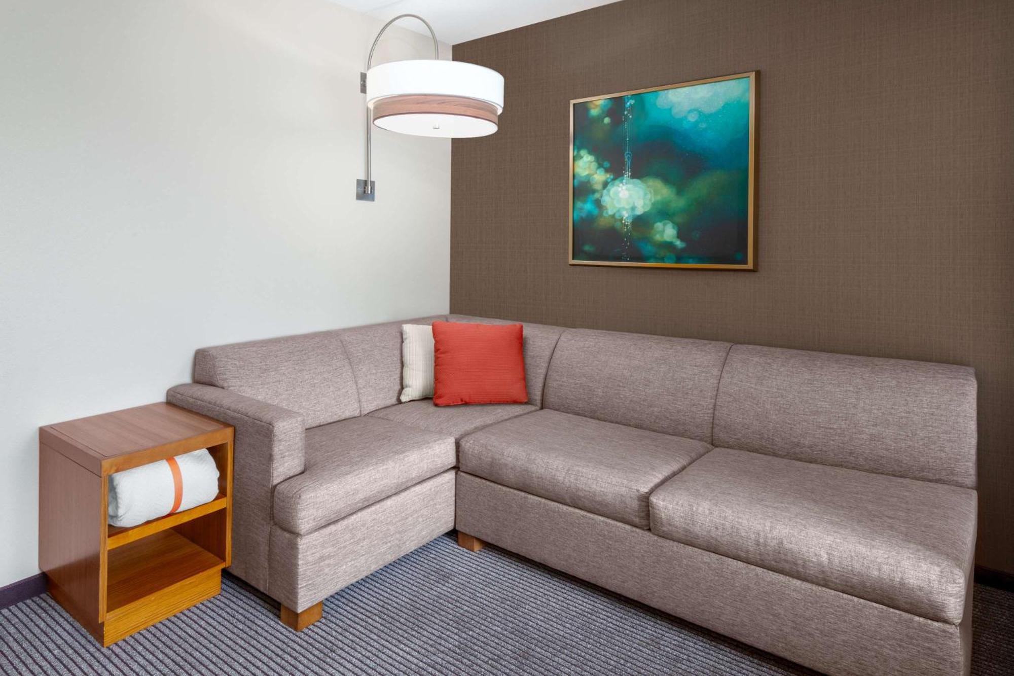 King Room Sofa Bed Mountain View