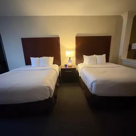 Comfort Suites Near Denver Downtown-2